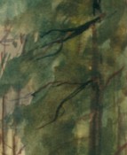 1948 - Prienitzgrund_7